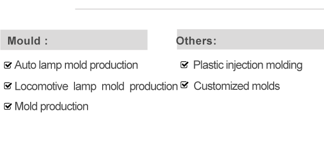 auto lamp mould